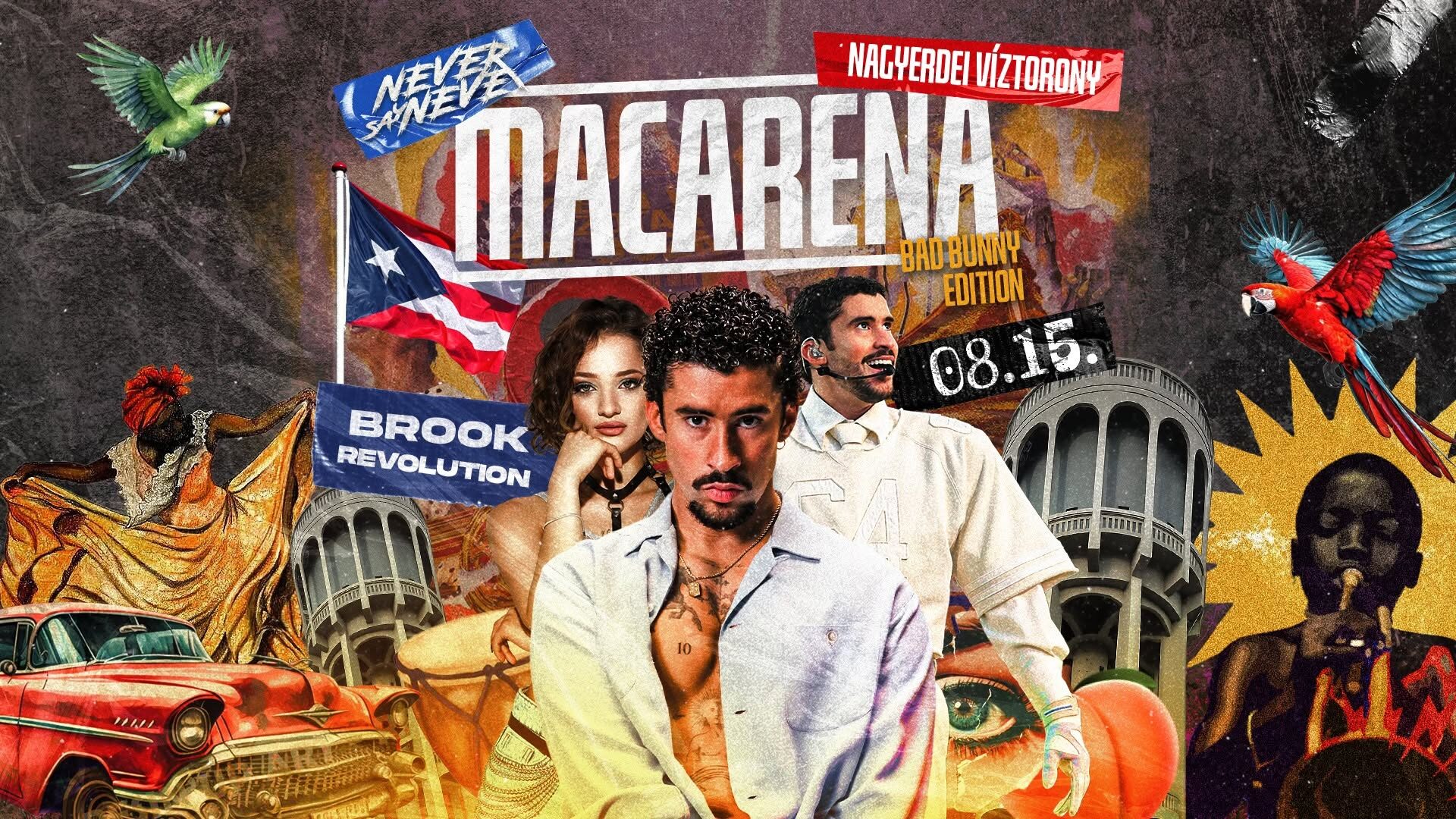 Macarena x Never Say Never
